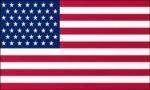 American Flag 49 Stars (1959-1960) 3x5 FT