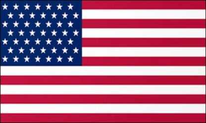 American USA 49 Stars Flag (1959-1960)