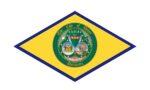 City/Town - Dover City Delaware Flag 3x5 FT