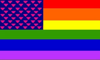 Rainbow USA Triangle Flag