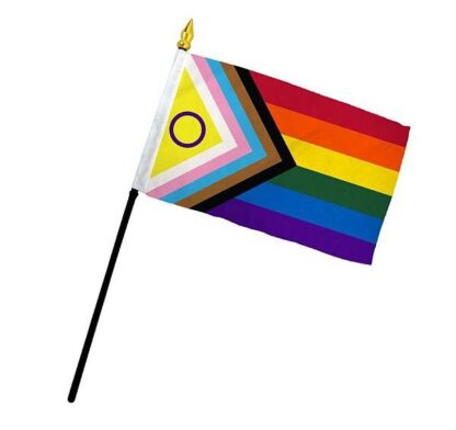 Rainbow Inclusive Pride Flag 4x6 inch