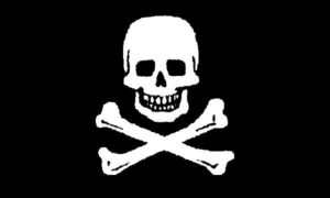 Smiling Pirate Flag