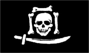 Three Bones & Sword Pirate Flag