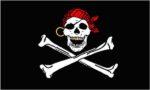 Gold Teeth Pirate Flag 3x5 FT