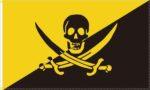 Anarcho Pirate Flag 3x5 FT