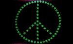 Peace Marijuana Leaf Flag 3x5 FT