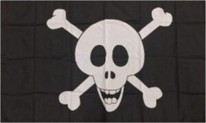 Alien Pirate Flag