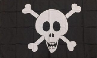 Alien Pirate Flag
