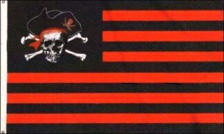 Pirate Nation Flag