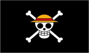 Luffy Straw Hat Pirate Flag