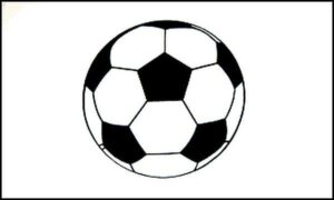 Soccer Flag