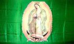 Lady of Guadalupe Flag Green 3x5 FT