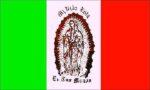 Lady of Guadalupe Flag Brown 3x5 FT