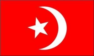 Star & Crescent Nation Of Islam Flag