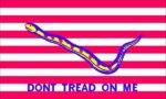 1st Navy Jack Gadsden Flag 3x5 FT