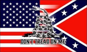 USA Rebel Gadsden Flag