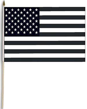 Black & White USA Flag Protest