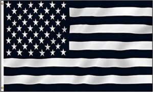 Black & White USA Flag Protest