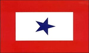 One Star Service Flag