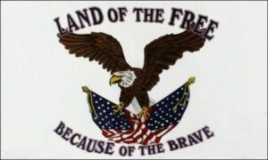 Land Of The Free Flag