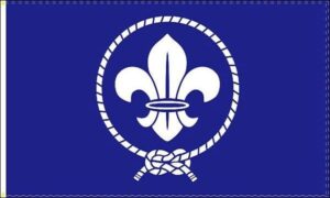 Boy Scouts Flag