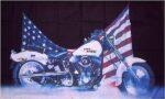 Easy Rider Flag 3x5 FT