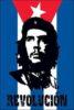 Che Guevera Revolution Vertical Flag 5x3 FT