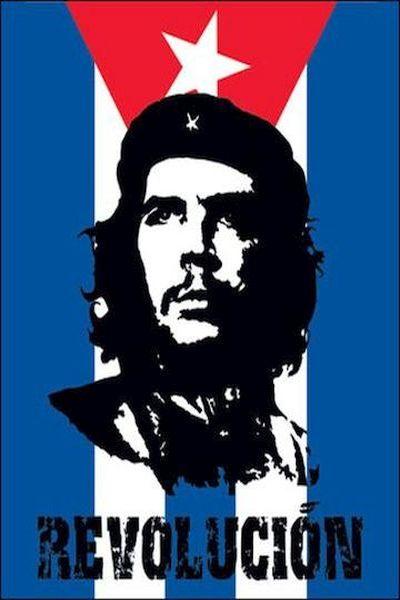 Che Guevera Revolution Vertical Flag
