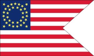 Cavalry Guidon American Flag