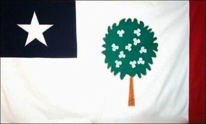Mississippi Republic Magnolia 1861 Flag