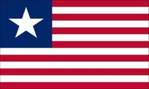 Texas Navy 1836 Flag