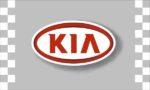 Kia Checkered Flag 3x5 FT