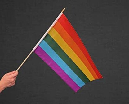Rainbow Pride Flag 12X18 Inch Stitched Edge