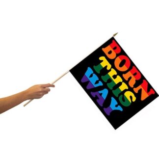 Rainbow Born This Way Flag 12x18 Inch