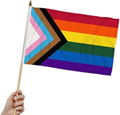 Rainbow Progress Pride Flag 12 x18 inch