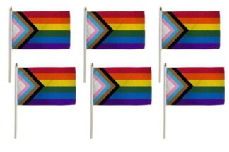Rainbow Progress Pride Flag 12 x18 inch