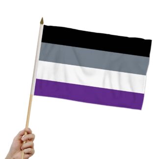 Rainbow Asexual Flag 12x18 Inch