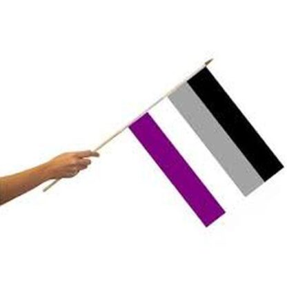 Rainbow Asexual Flag 12x18 Inch