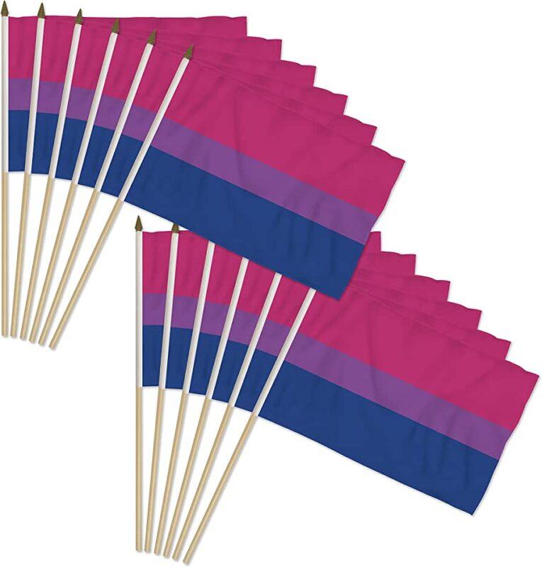 12 Pack Rainbow Bisexual Pride Stick Flag 12x18 In