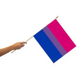 Rainbow Bisexual Flag 12x18 Inch