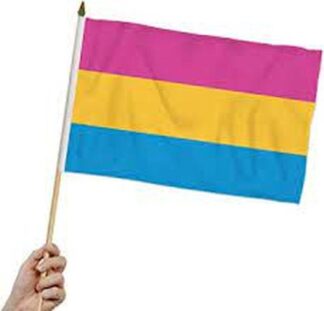 Rainbow Pansexual Flag 12x18 Inch