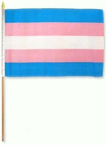 Rainbow Transgender Flag 12x18 Inch