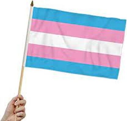Rainbow Transgender Flag 12x18 Inch