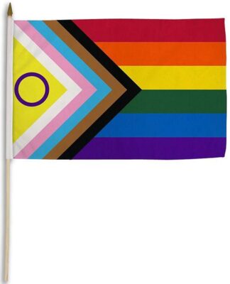 Rainbow Inclusive Pride Flag 12 inch x 18 inch