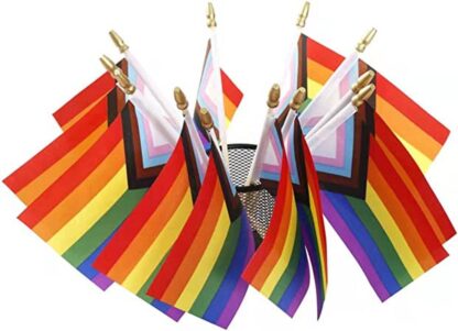 Rainbow Progress Pride Flag 4 inch x 6 inch