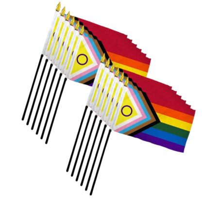Rainbow Inclusive Pride Flag 4x6 Inch