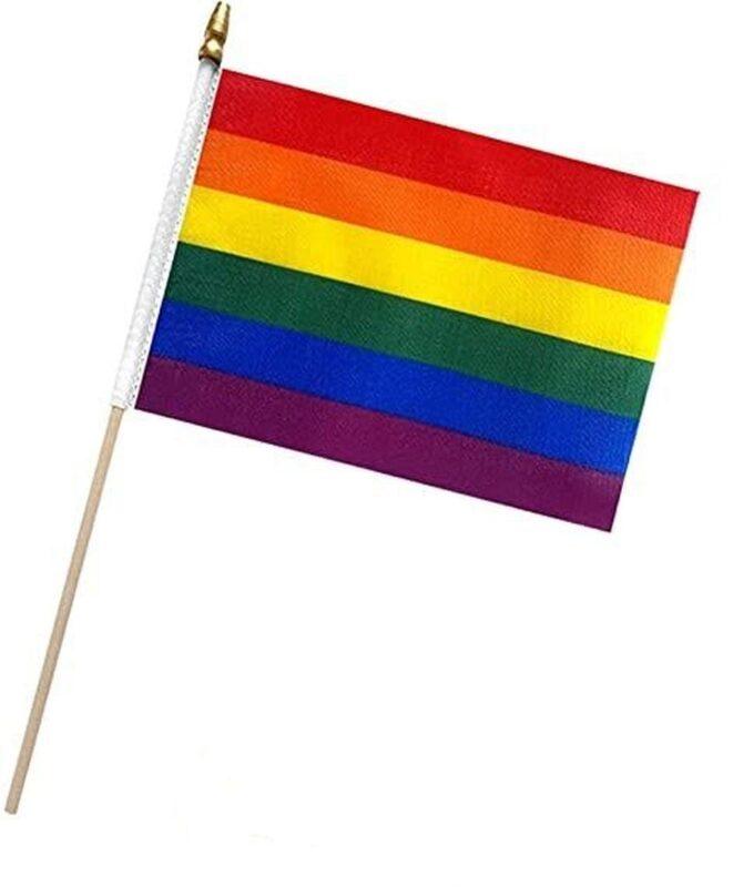 Rainbow Pride Stick Flag 6x9 In El Cheapo Flags