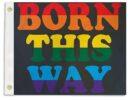 Rainbow Pride Born This Way Boat Flag 12x18 In