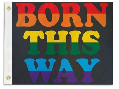 Rainbow Pride Born This Way 12x18 Inch Boat Flag