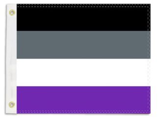 Rainbow Pride Asexual Boat Flag 12x18 Inch